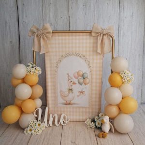 Banner Baby Party MGD- Premiun